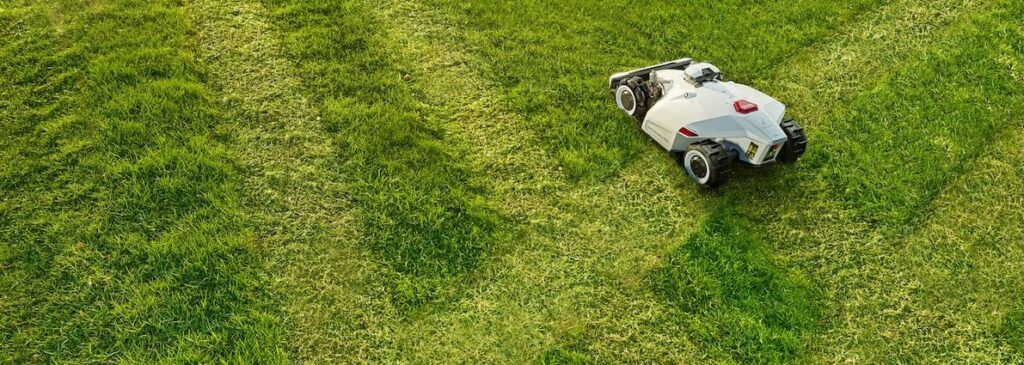 robot tondeuse tond dans gazon