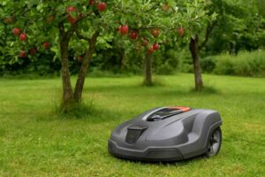 Robot tondeuse et arbre fruitier