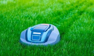 Où trouver robot tondeuse en promo